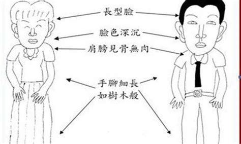 木型人 面相|【面相館】五形面相 (木形人、火形人、土形人、金形。